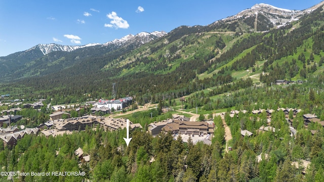 7590 Obsidian Rd, Teton Village, WY 83025 - photo 31