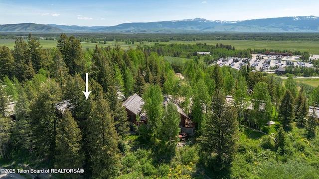 7590 Obsidian Rd, Teton Village, WY 83025 - photo 32