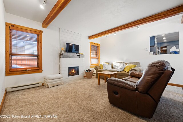 1185 W Hay Sled Dr, Jackson, WY 83001 - photo 8