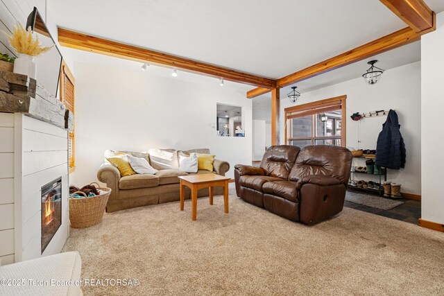 1185 W Hay Sled Dr, Jackson, WY 83001 - photo 7