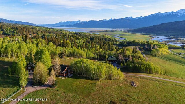 244 Black Mountain Ln, Alpine, WY 83128 - photo 3