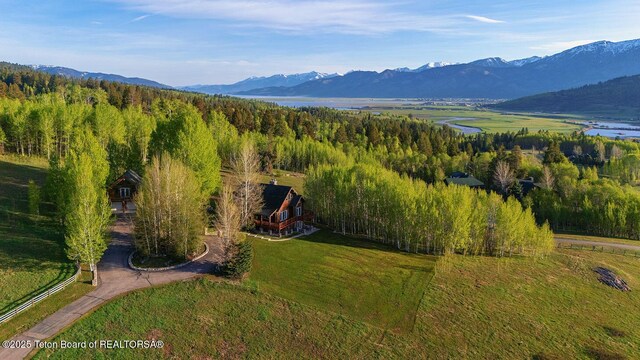 244 Black Mountain Ln, Alpine, WY 83128 - photo 2