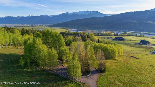 244 Black Mountain Ln, Alpine, WY 83128 - photo 46