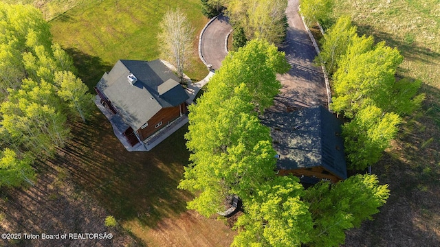 244 Black Mountain Ln, Alpine, WY 83128 - photo 4