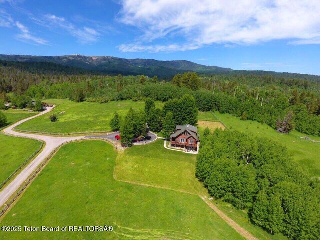244 Black Mountain Ln, Alpine, WY 83128 - photo 50