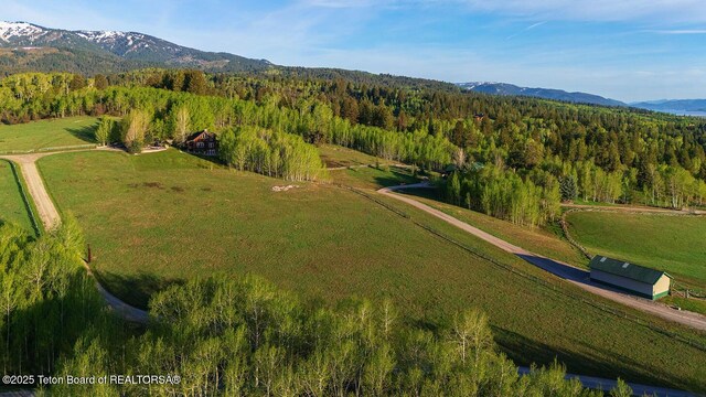244 Black Mountain Ln, Alpine, WY 83128 - photo 45