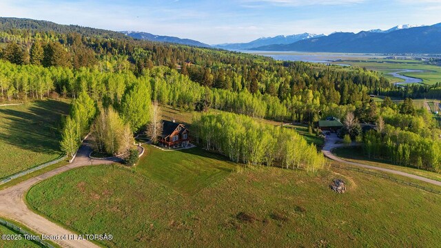 244 Black Mountain Ln, Alpine, WY 83128 - photo 43