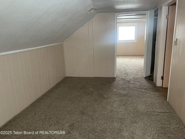 additional living space with a textured ceiling, carpet floors, lofted ceiling, and wooden walls