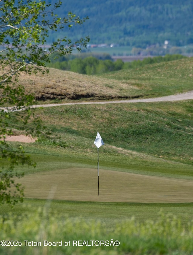 1105 Shasta Daisy Ct, Driggs, ID 83422 - view of community featuring a putting green and view of golf course
