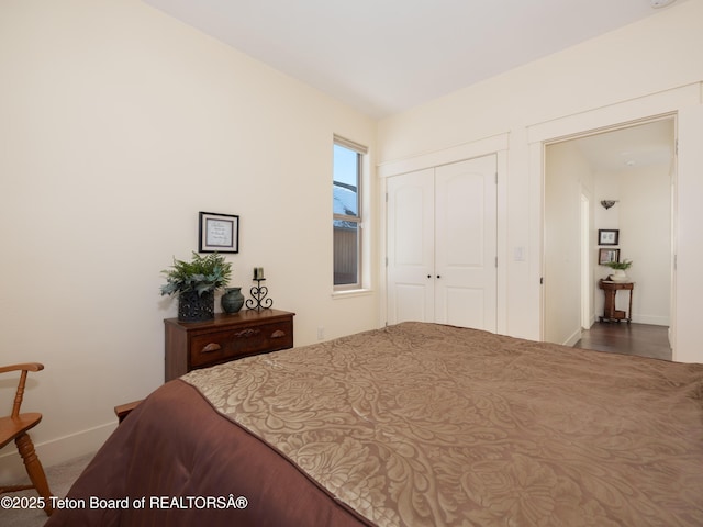 70 Baywood Dr, Driggs, ID 83422 - bedroom with a closet and baseboards