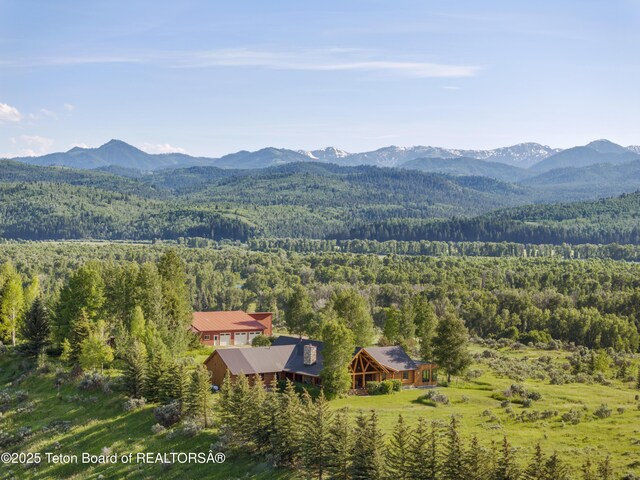 4150, 4200 S Hufsmith Hill Rd, Jackson, WY 83001 - photo 5