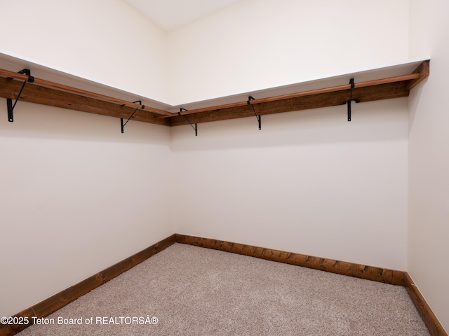 4660 Pale Morning Dr, Tetonia, ID 83452 - spacious closet featuring carpet