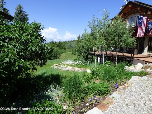 view of yard featuring a balcony