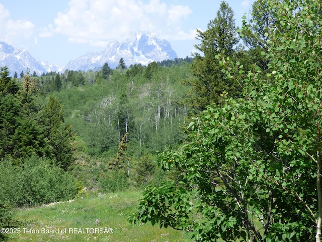 view of local wilderness featuring a wooded view and a mountain view