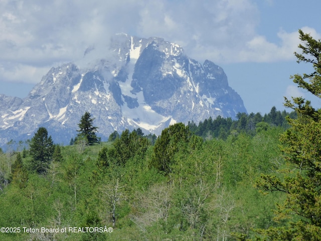 mountain view with a view of trees