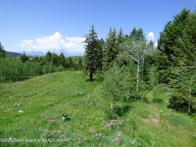 view of nature featuring a mountain view