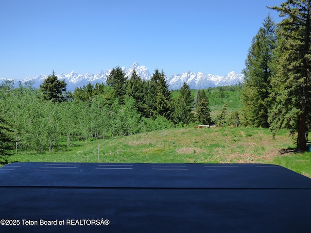 view of yard with a forest view and a mountain view