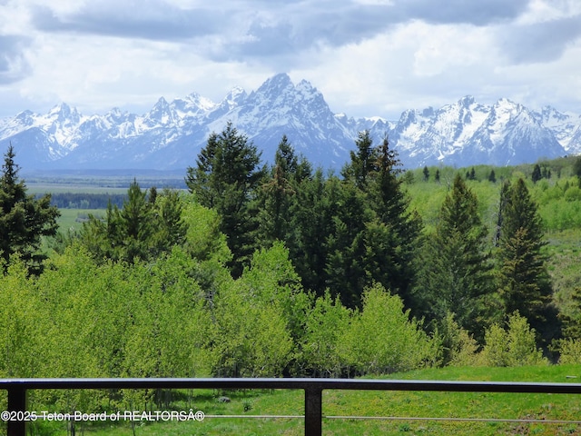 mountain view with a forest view