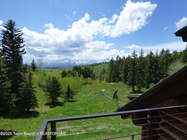 view of yard with a view of trees