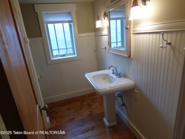 bathroom featuring plenty of natural light, wood finished floors, and wainscoting