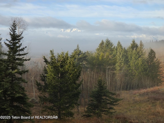 view of nature with a wooded view