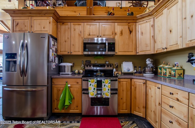 kitchen featuring stainless steel appliances and dark countertops