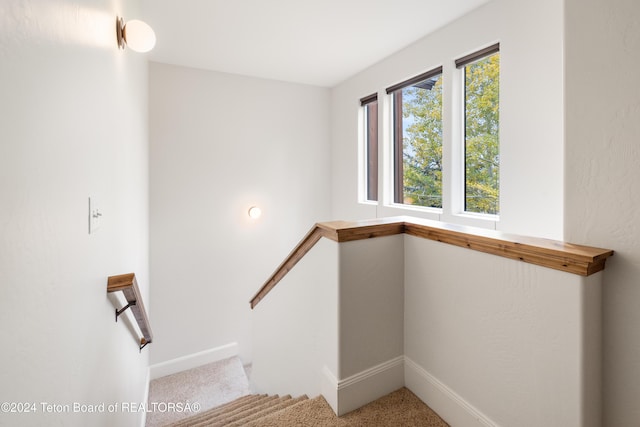 staircase featuring carpet floors and baseboards