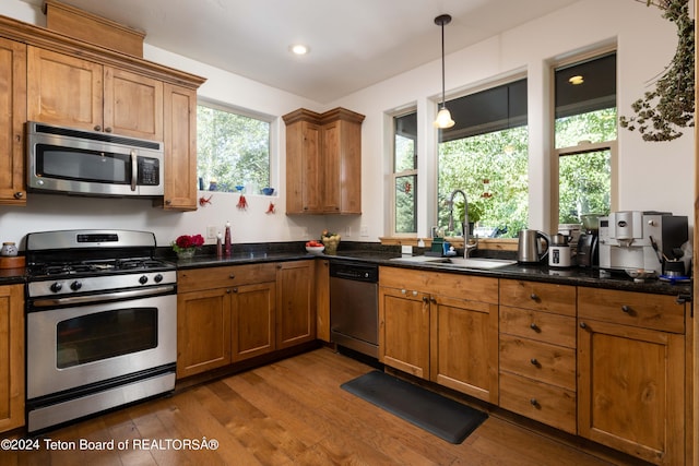 kitchen featuring dark wood-style floors, appliances with stainless steel finishes, brown cabinets, and a sink