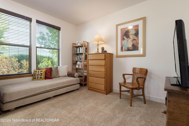 living area featuring carpet and baseboards