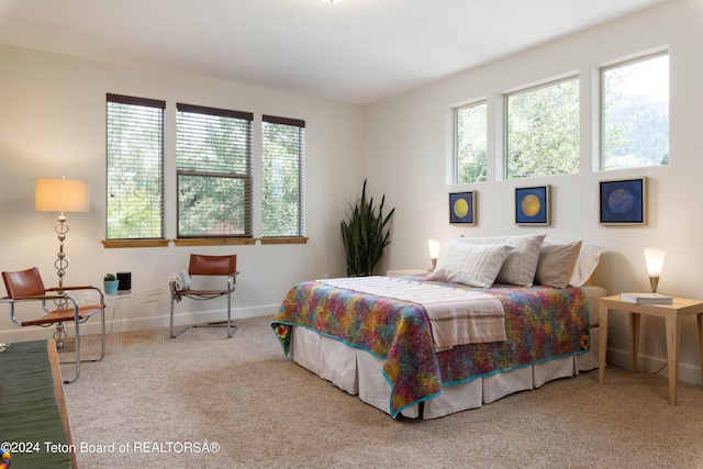 carpeted bedroom featuring baseboards