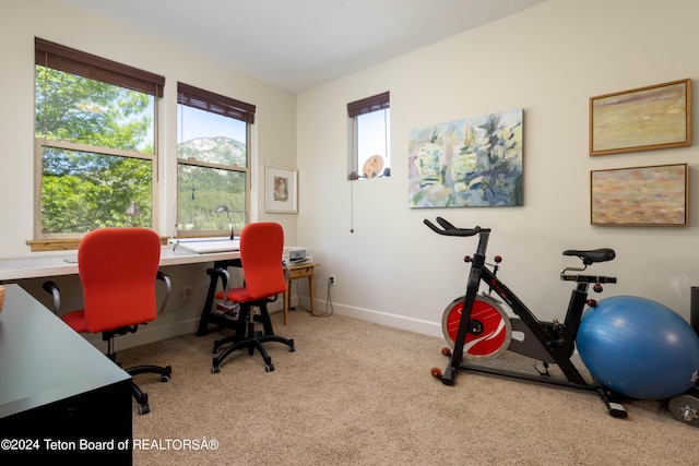 carpeted office space with baseboards