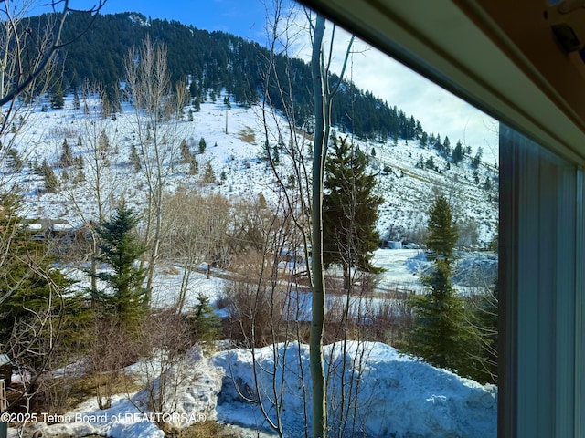 property view of mountains with a view of trees