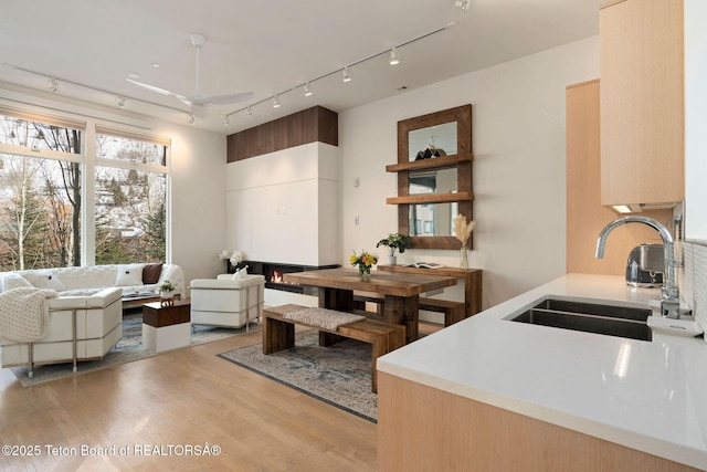 interior space featuring light wood-type flooring, rail lighting, light countertops, and a sink