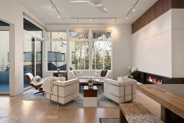 living room with a lit fireplace, track lighting, ceiling fan, and wood finished floors