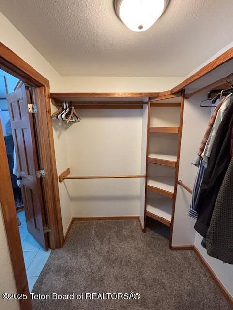 walk in closet featuring carpet flooring