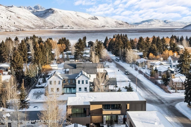 drone / aerial view with a mountain view