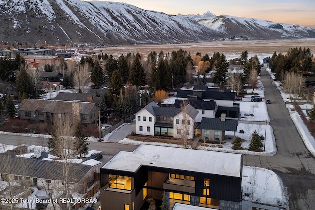 snowy aerial view featuring a mountain view and a residential view