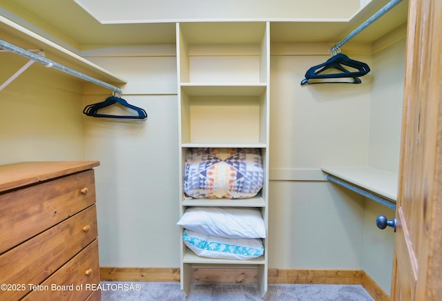 spacious closet featuring carpet floors