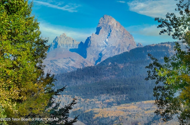 mountain view with a view of trees