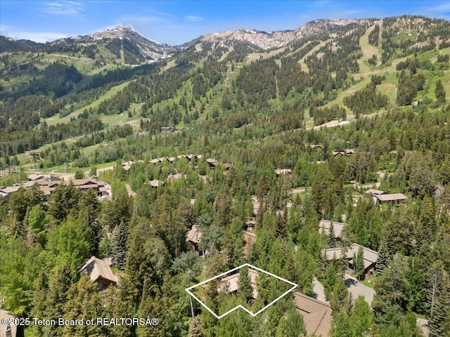 3102 W Arrowhead Rd, Teton Village, WY 83025 - view of property location with property parcel outlined and mountains