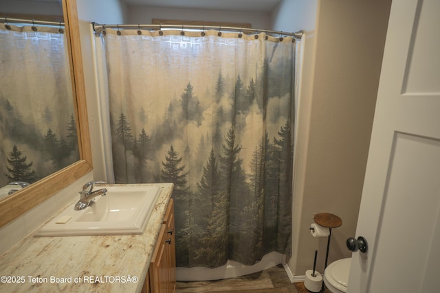 bathroom featuring toilet, curtained shower, and vanity