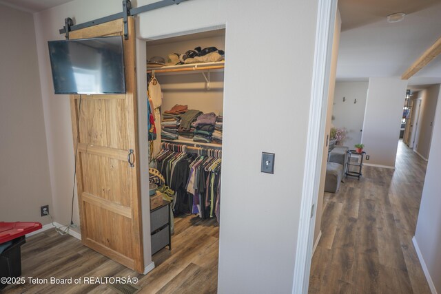 view of closet