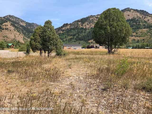 14 Ponderosa Ct, Star Valley Ranch WY, 83127 land for sale