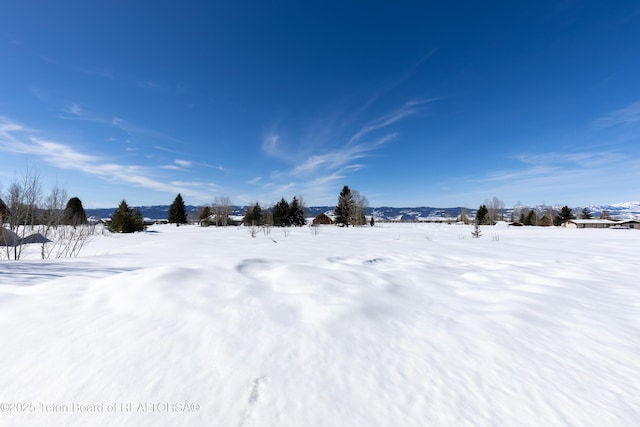 view of snowy yard