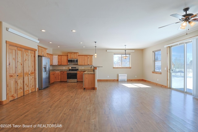 kitchen featuring wood finished floors, stainless steel appliances, open floor plan, and a sink