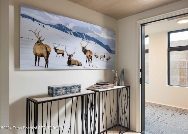 hallway featuring baseboards and carpet floors