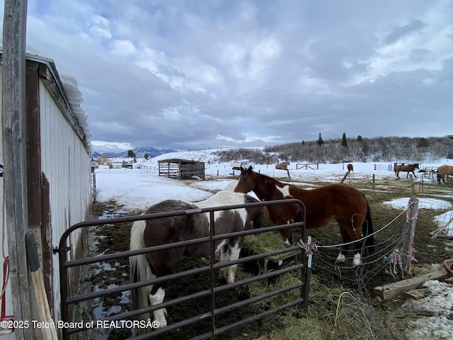 297 Dana St, Thayne, WY 83127 - photo 6
