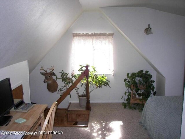 297 Dana St, Thayne, WY 83127 - photo 17