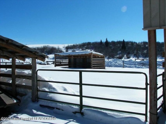 297 Dana St, Thayne, WY 83127 - photo 21