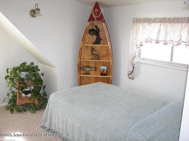 297 Dana St, Thayne, WY 83127 - photo 23